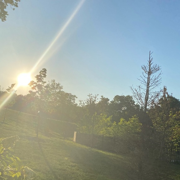 Meet your Posher, Isabel - Picture 1 of 1